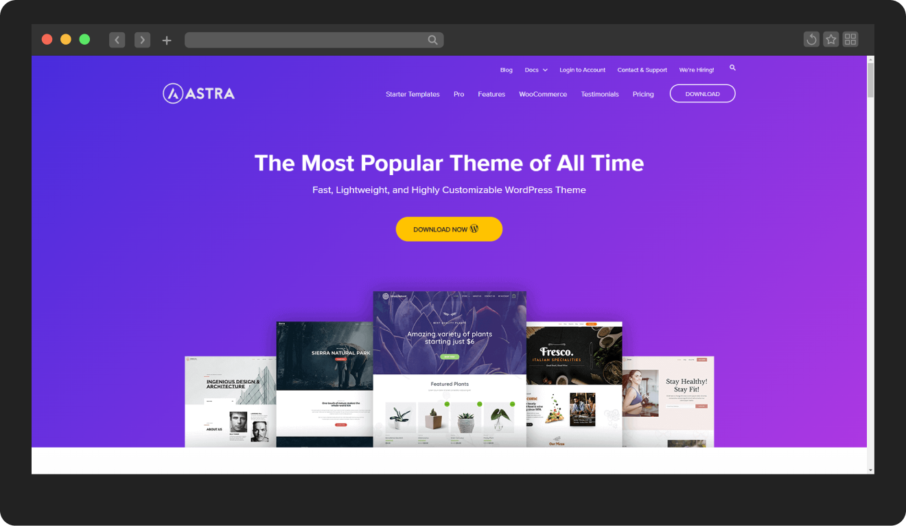 Astra WordPress Theme